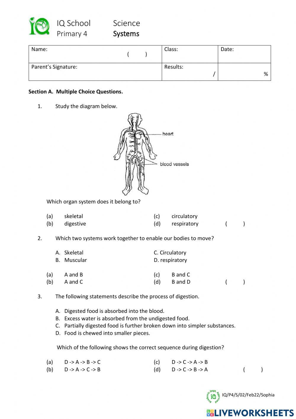 Science - Test - February