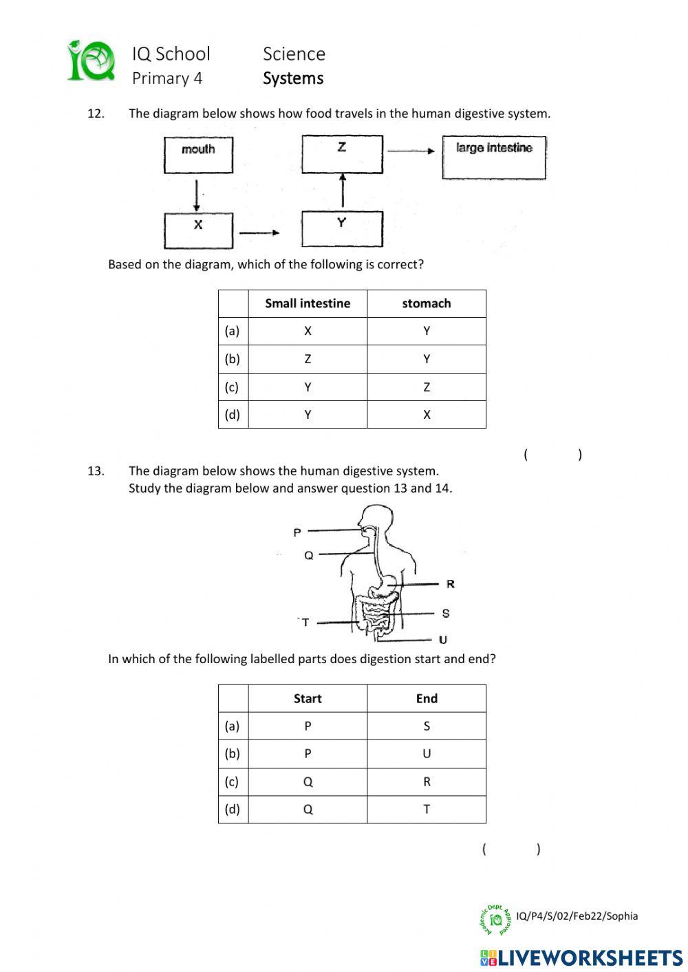 Science - Test - February