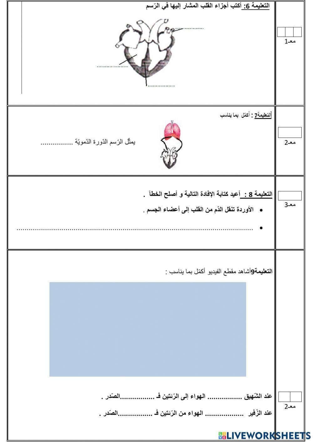 تقييم محور جسم الانسان س5