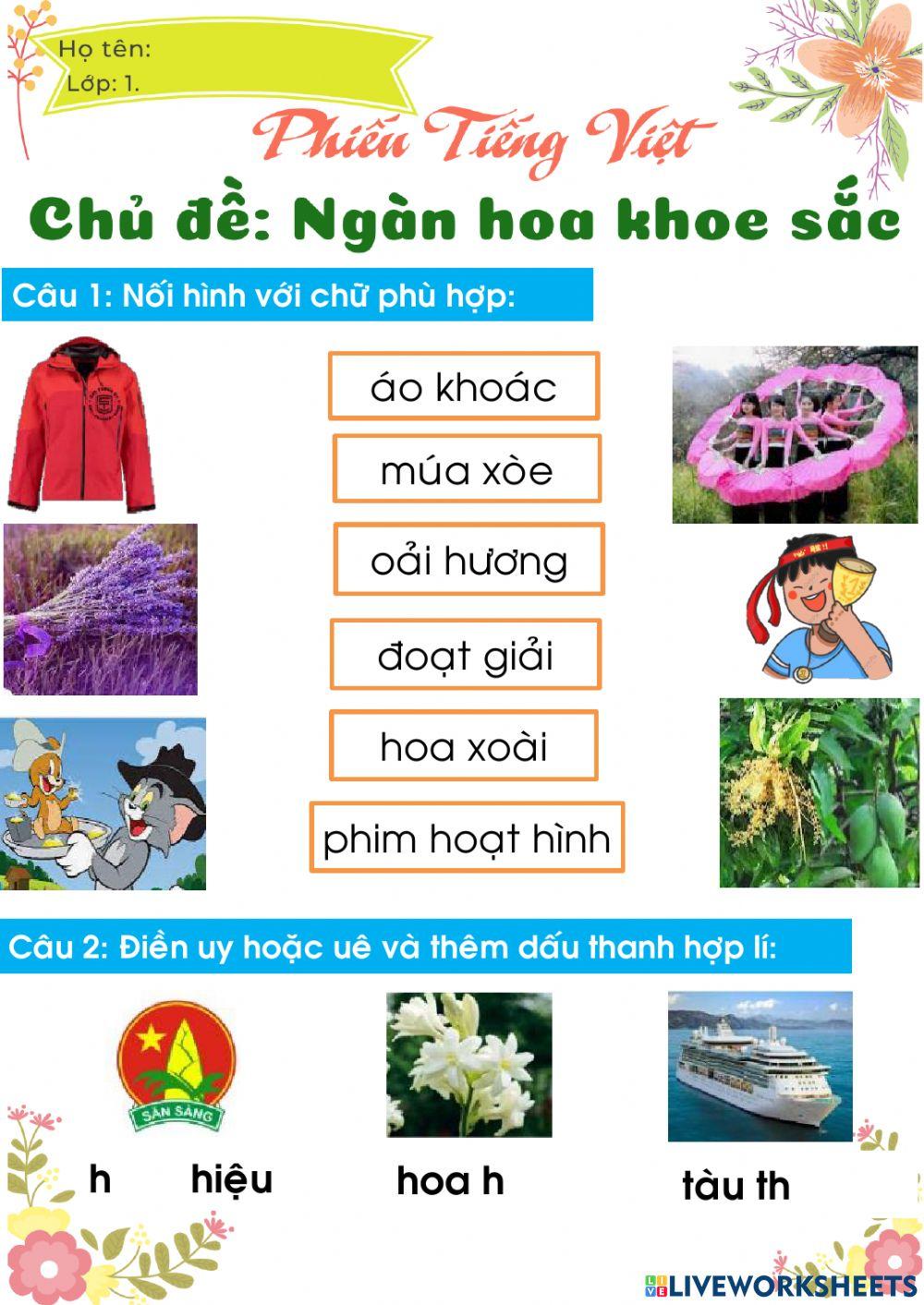 CD19 Ngàn hoa khoe sắc