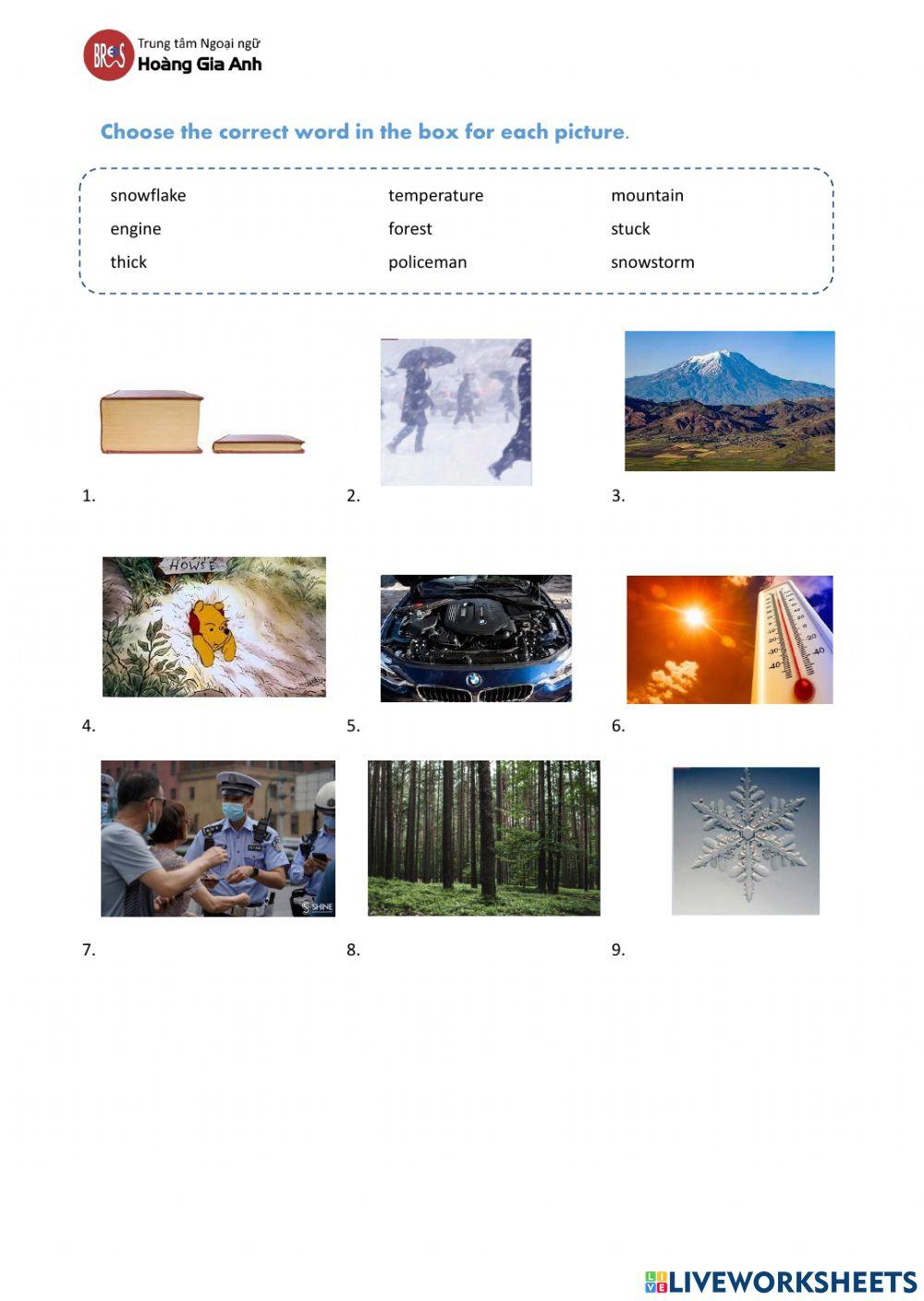 Before watching - Unit 2 - Seasons