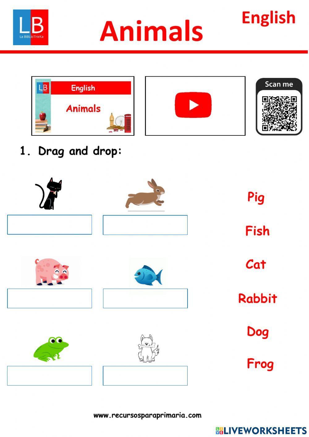 Animals Animals