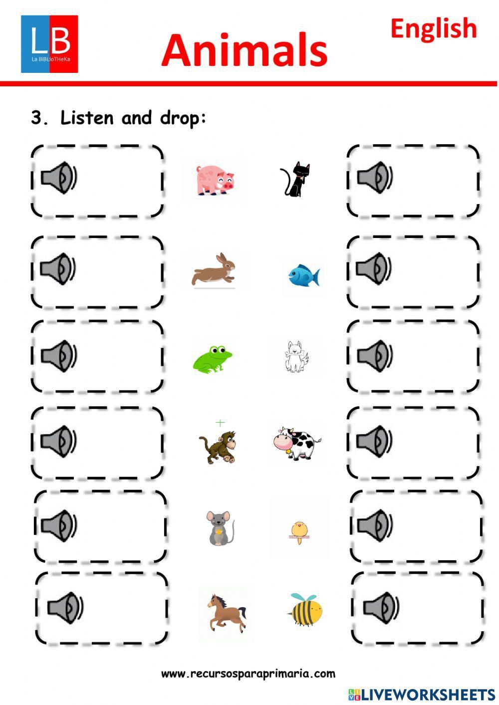 Animals Animals