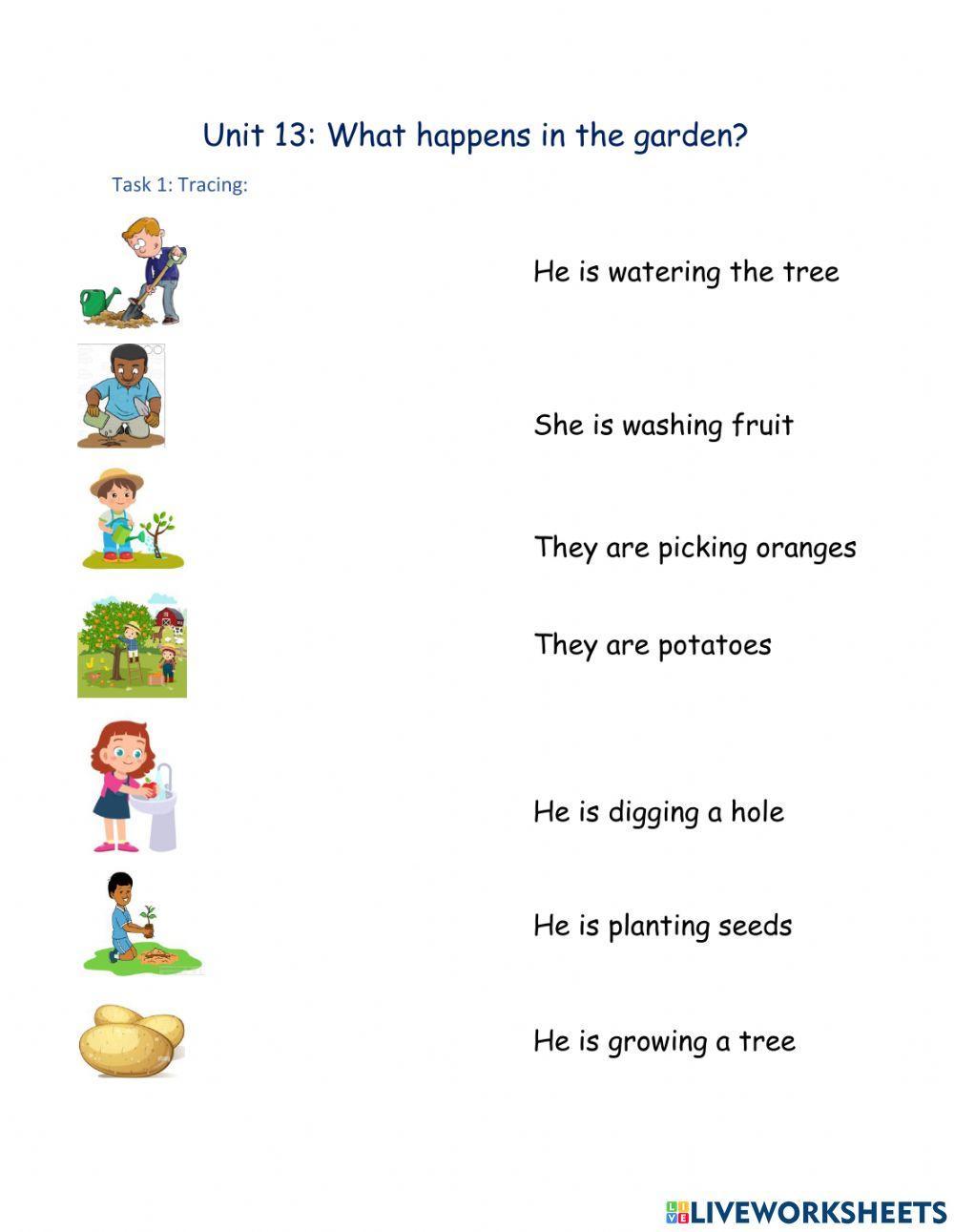 What happens in the garden