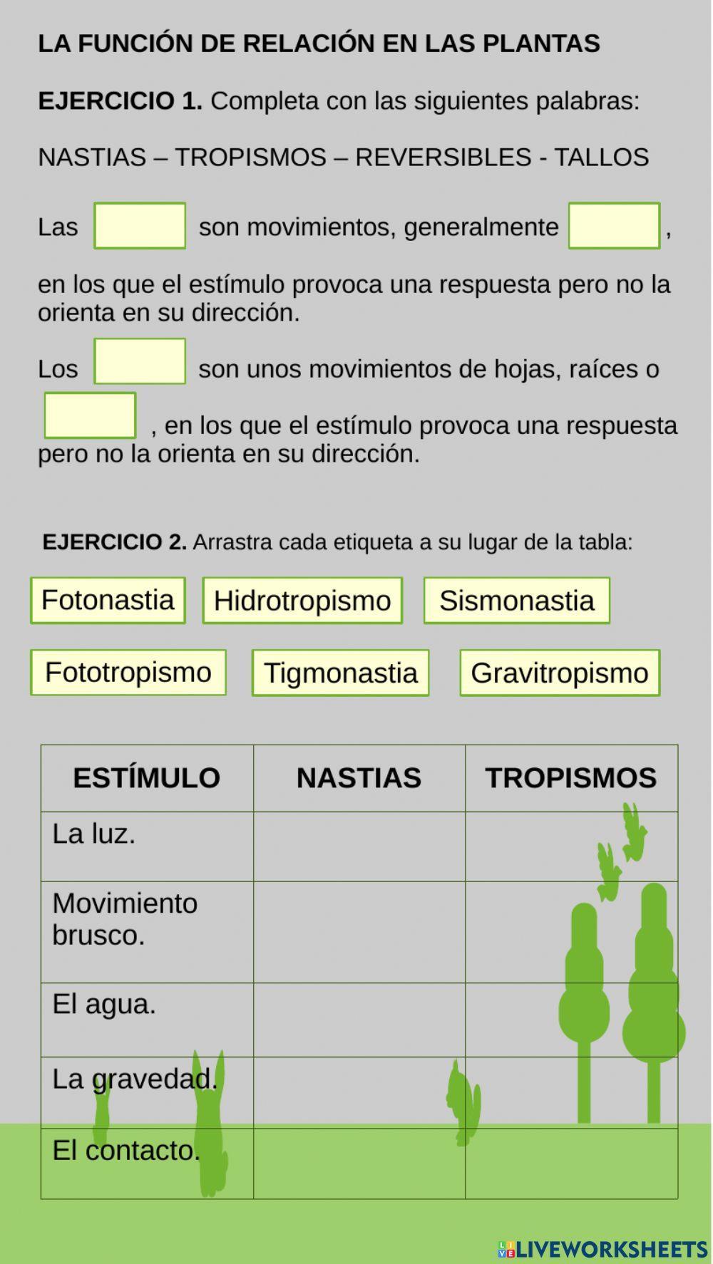 La función de relación en las plantas