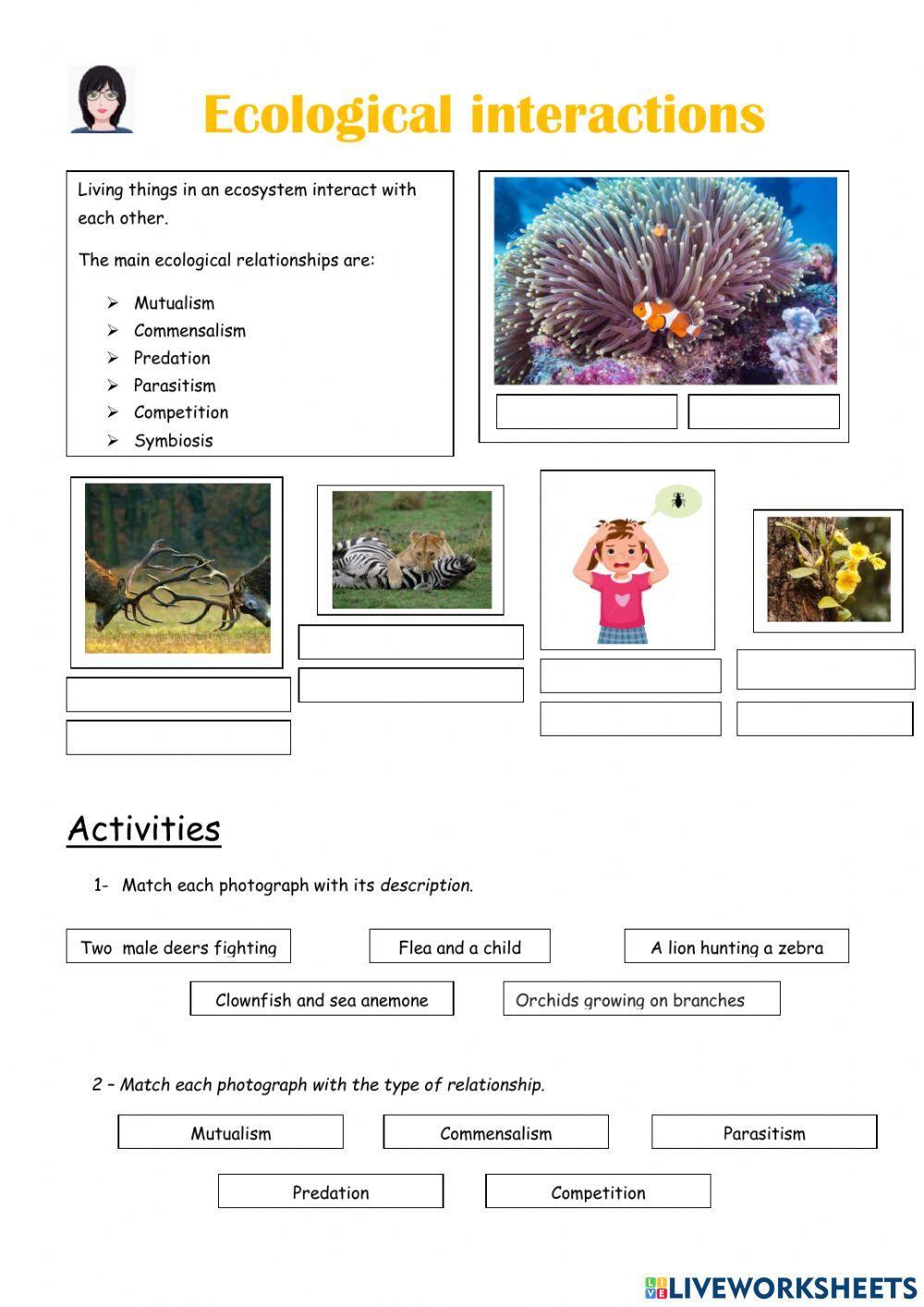 Ecological relationships