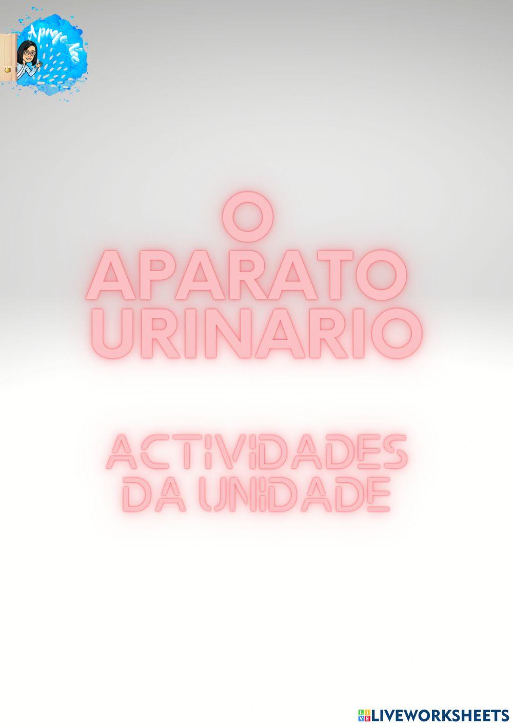 Aparato urinario Aparato urinario