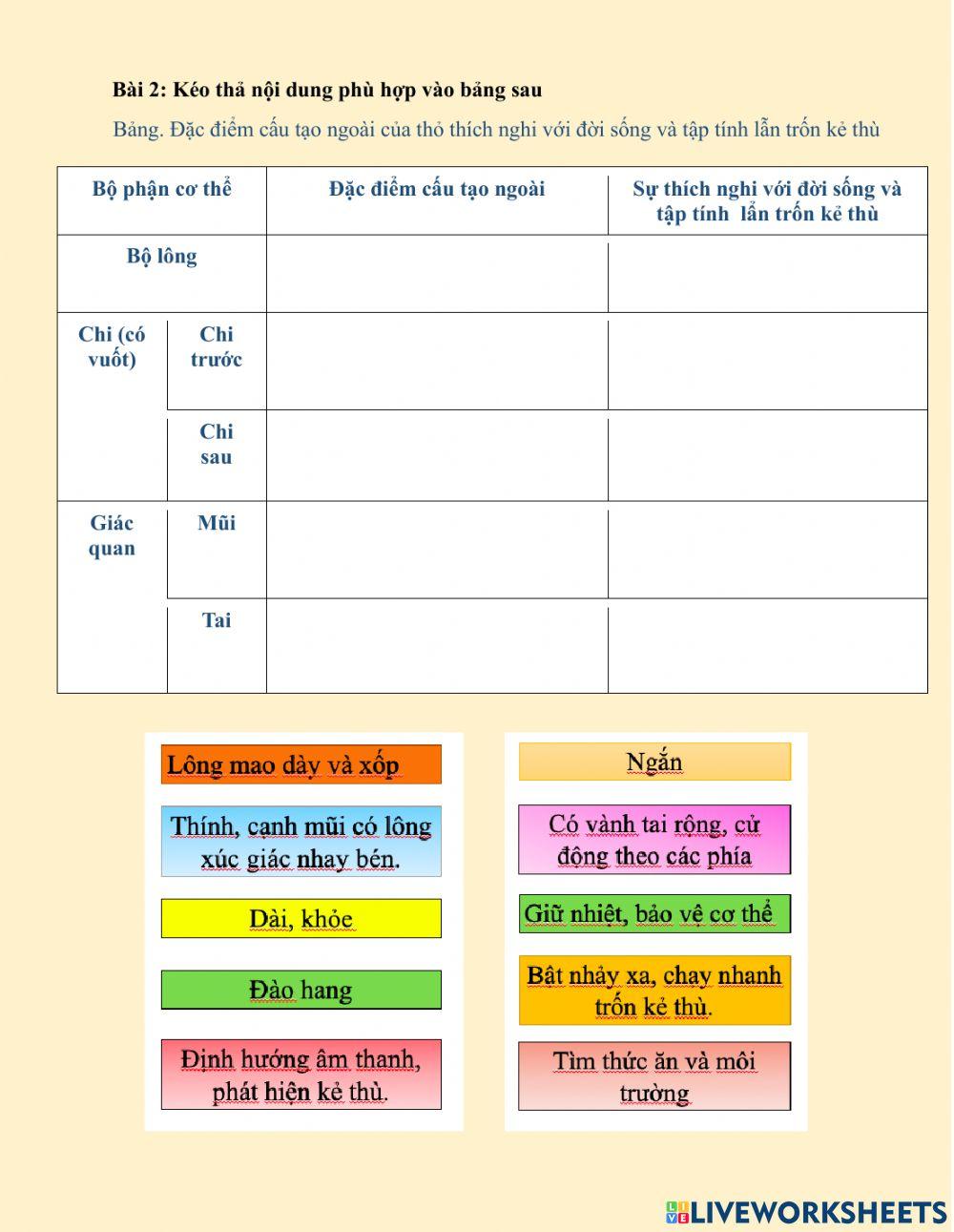 Phiếu học tập Tiết 45- Thỏ