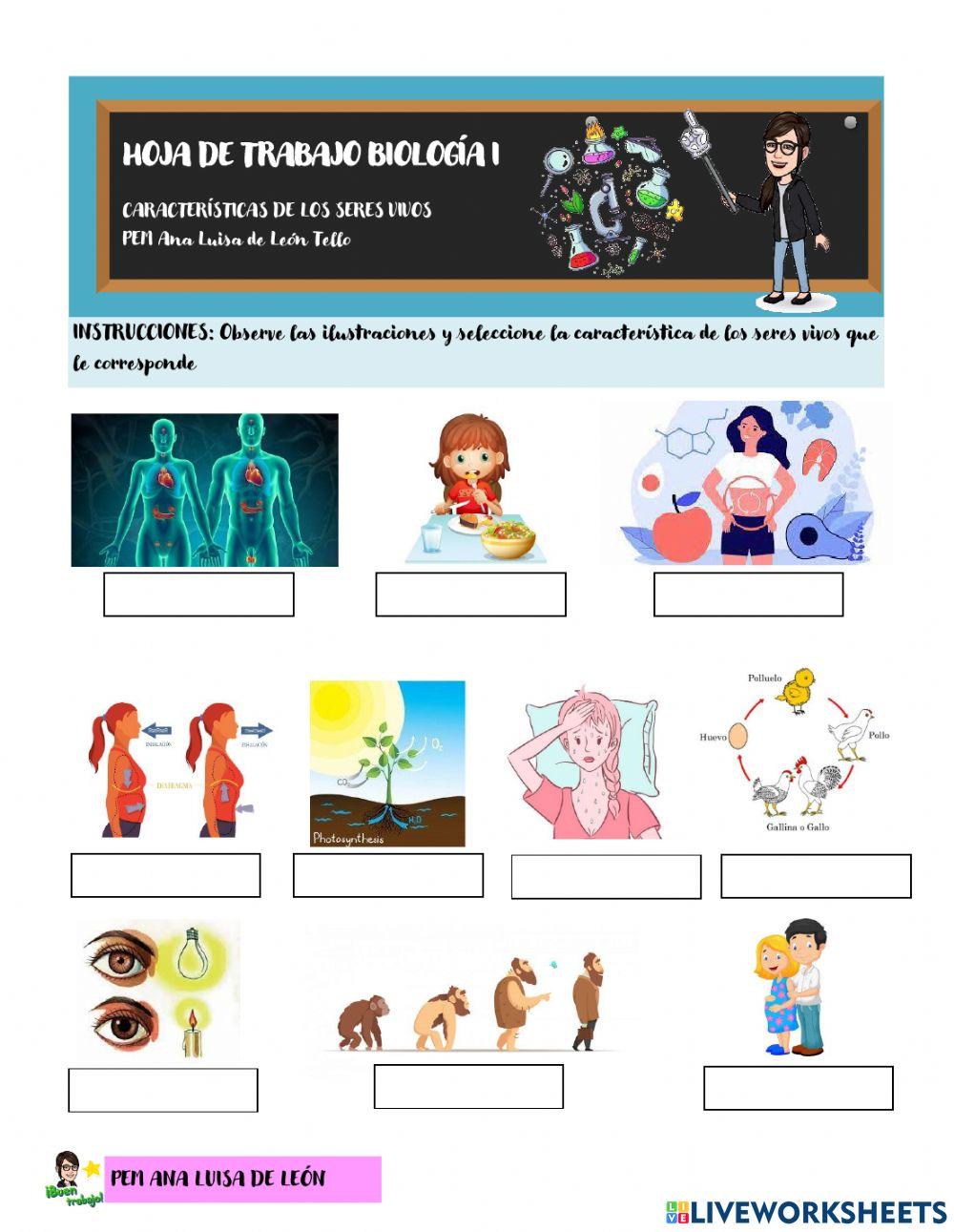 Características de los Seres Vivos