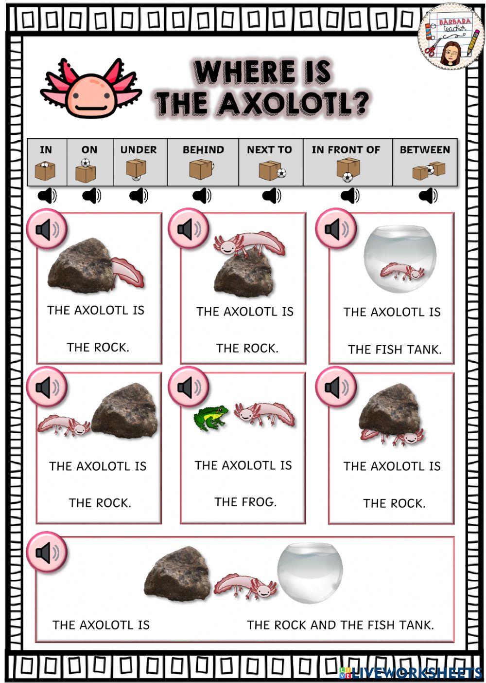 Where is the axolotl