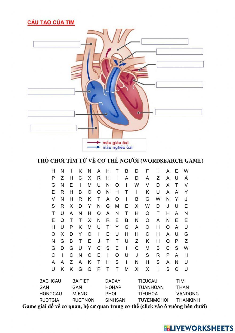 Sinh học cơ thể người