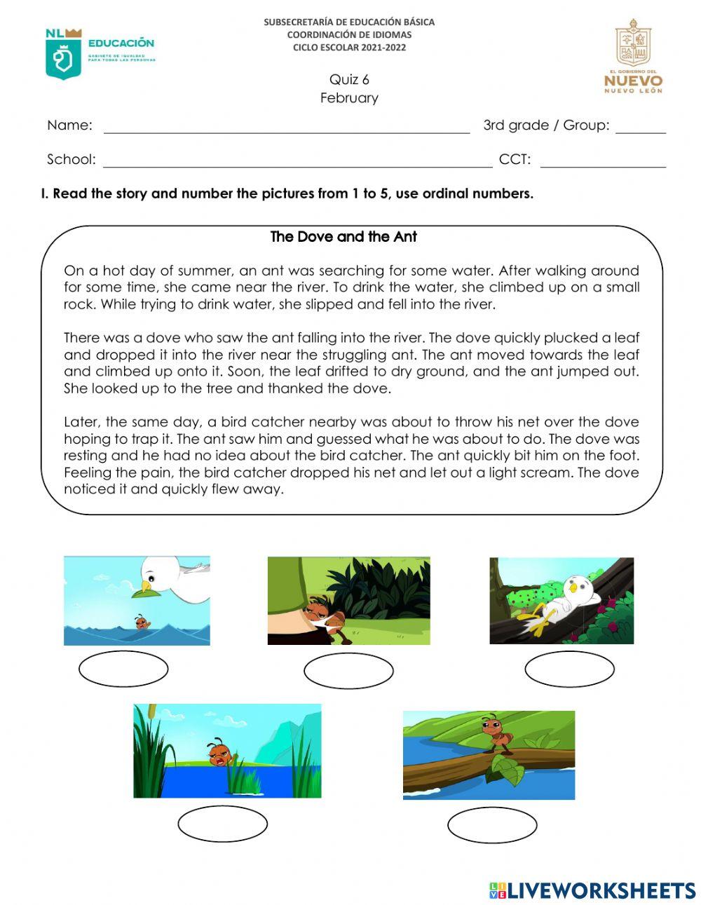 3rd grade february exam 