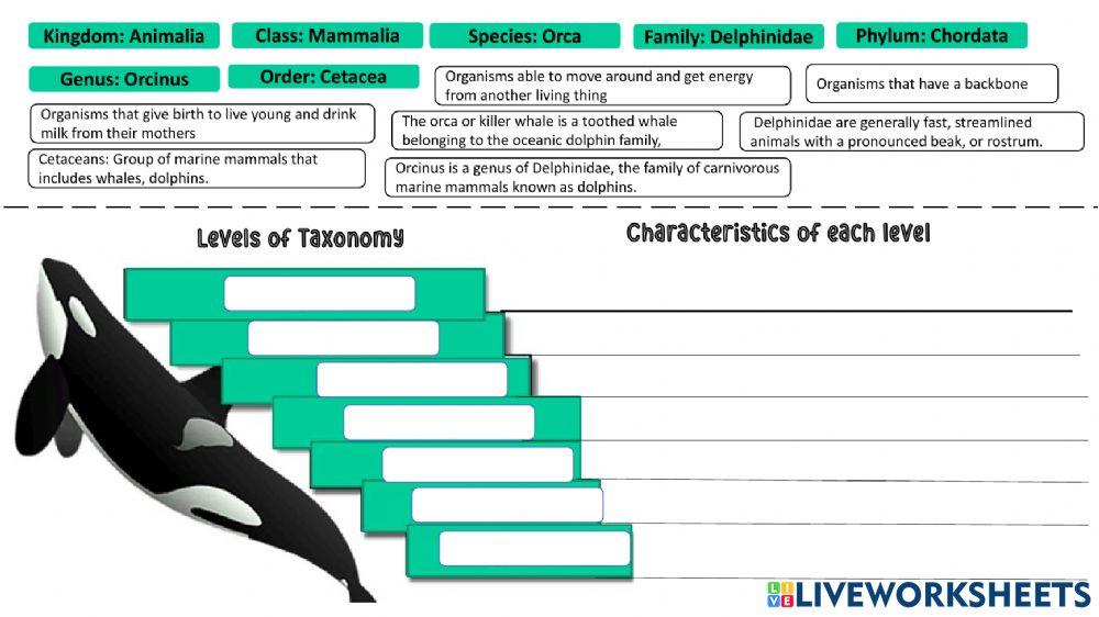 I Part - Taxonomy Index