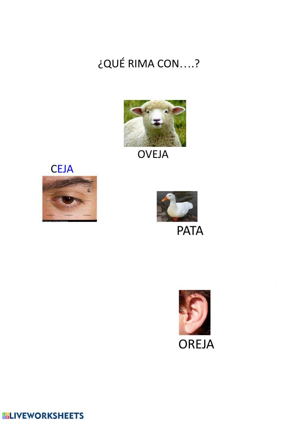 Busca la rima interactive worksheet | Live Worksheets