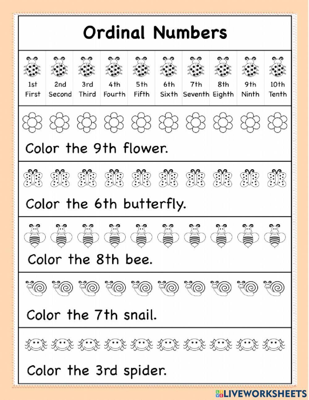TERM 2 MID TERM MATHEMATICS WORKSHEET REVIEW