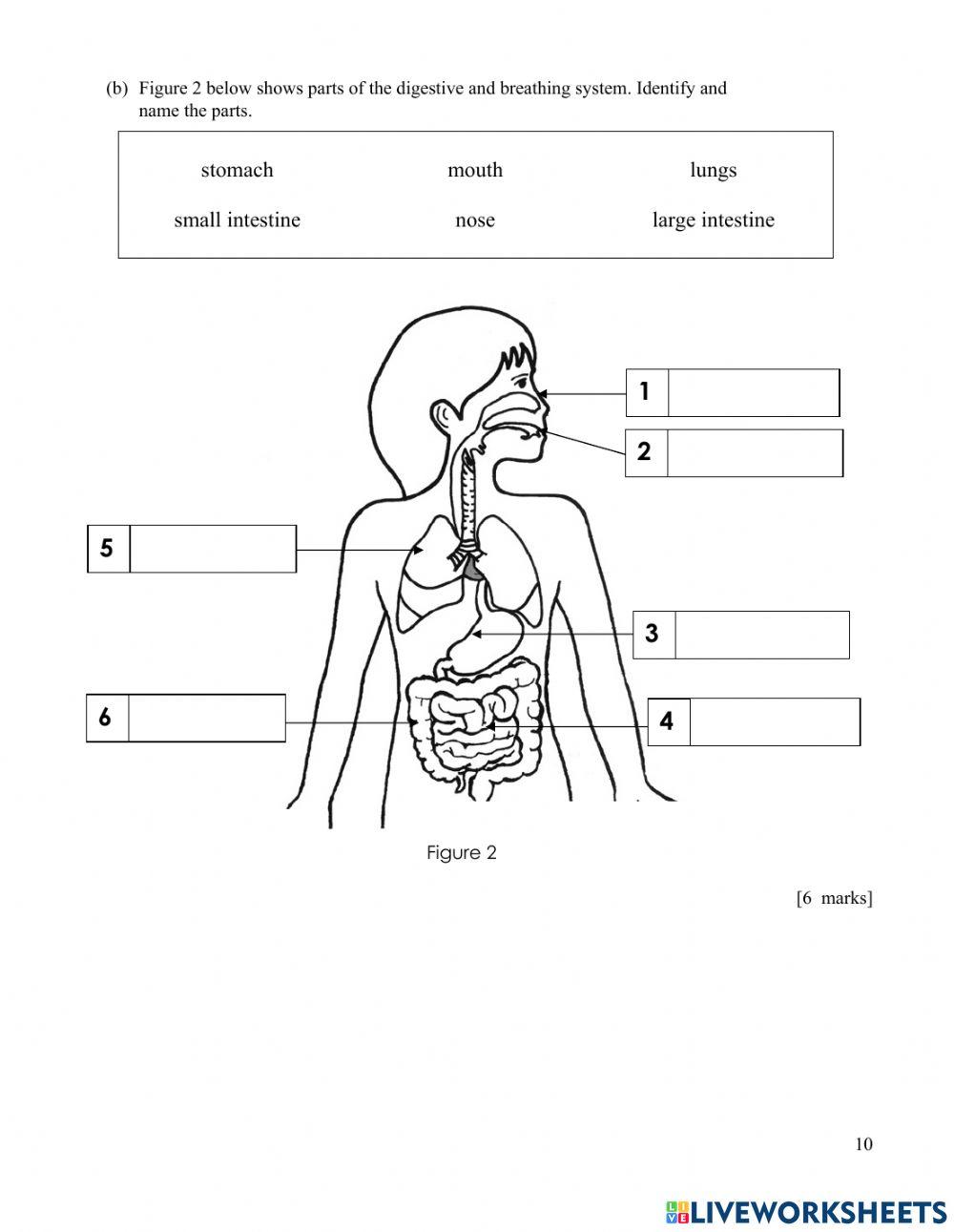 SCIENCE SCREENING TEST(SECTION B)