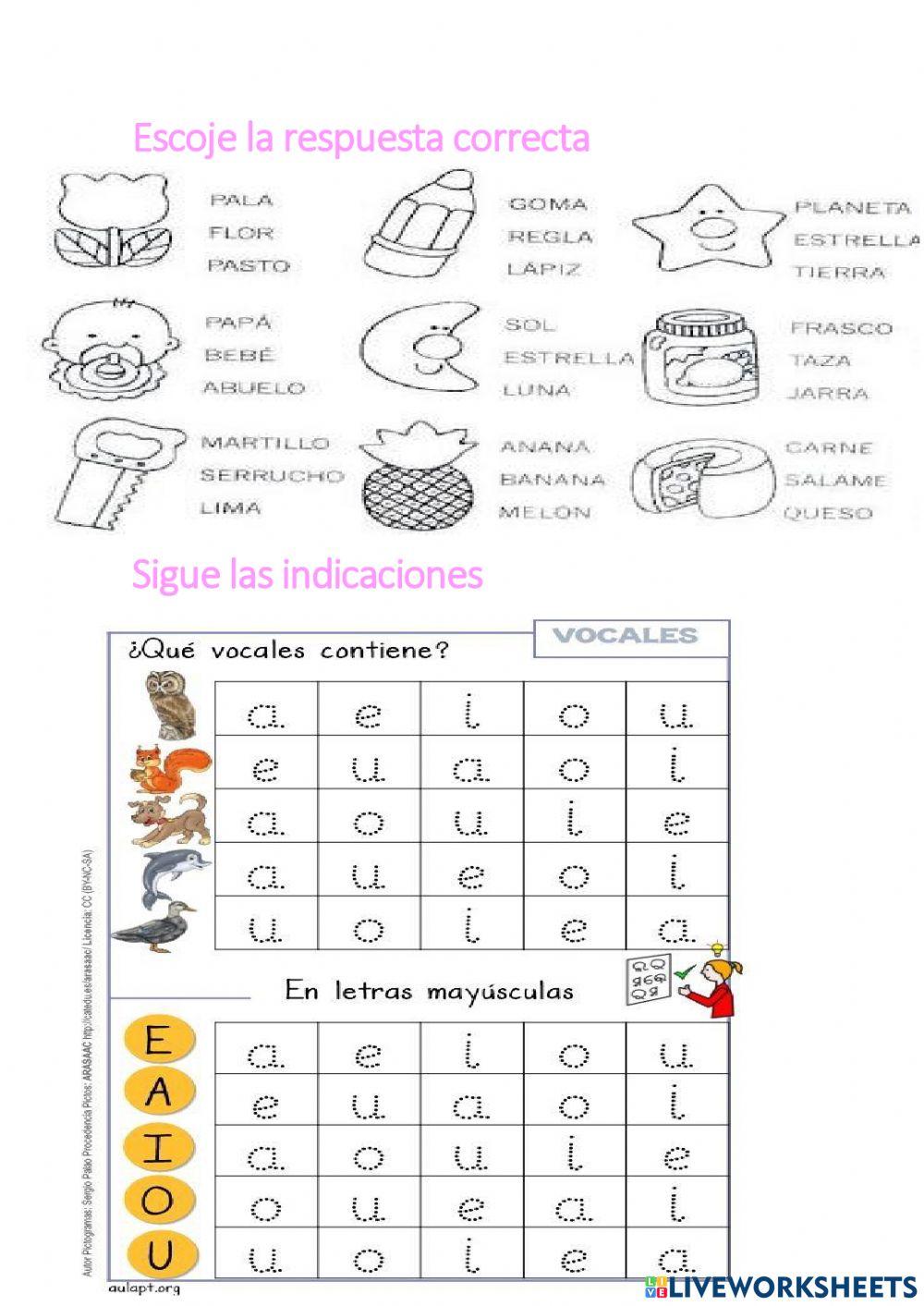 Actividades de lengua y literatura