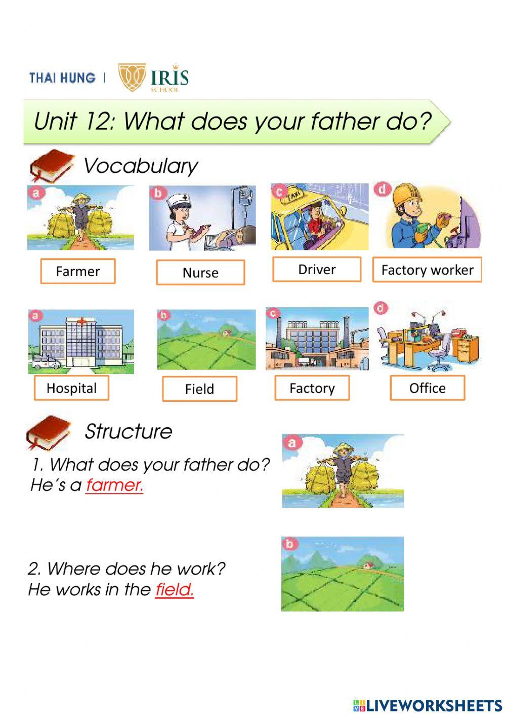 E4 - review vocabs and structures u11-u13