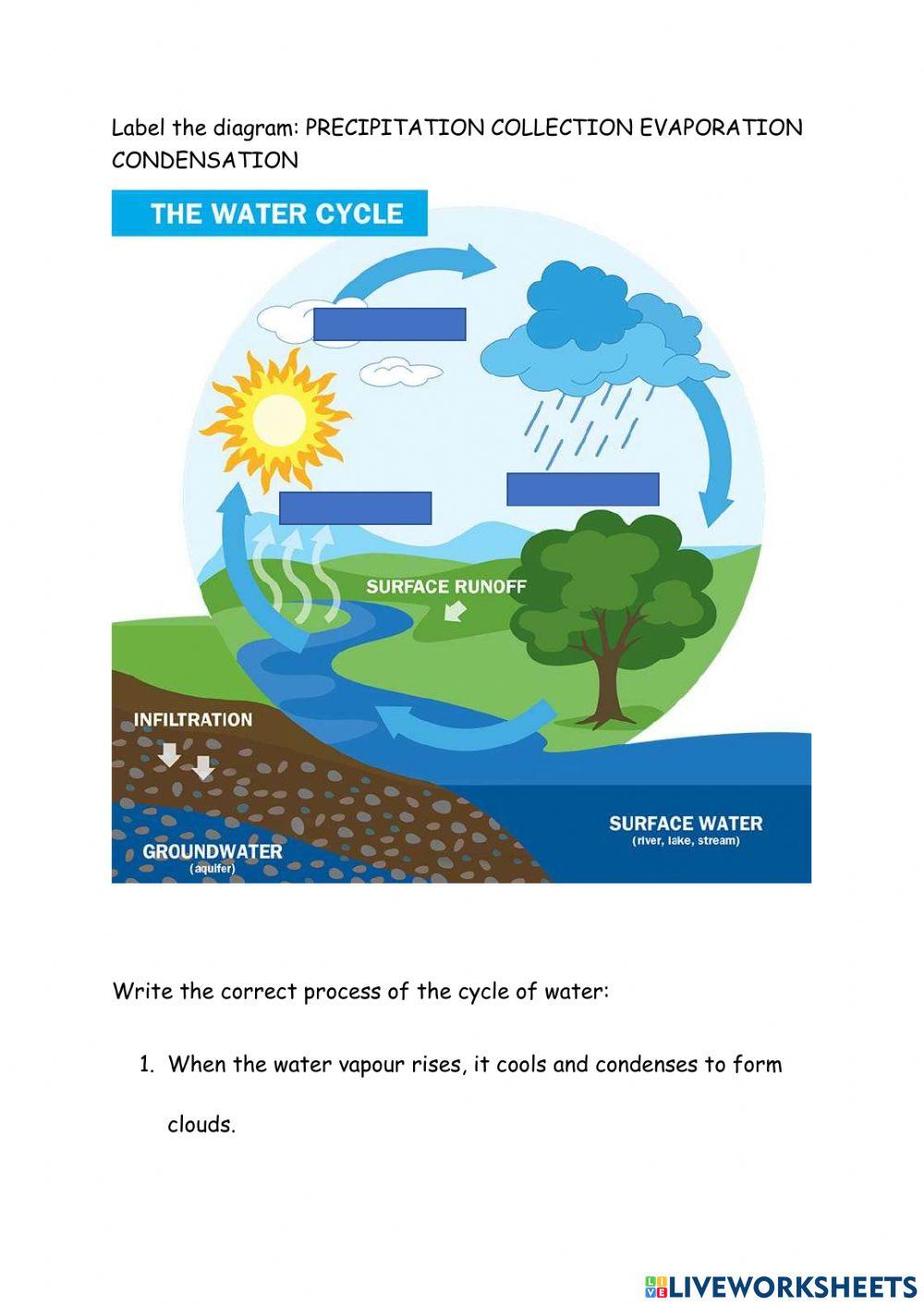 Cycle of water