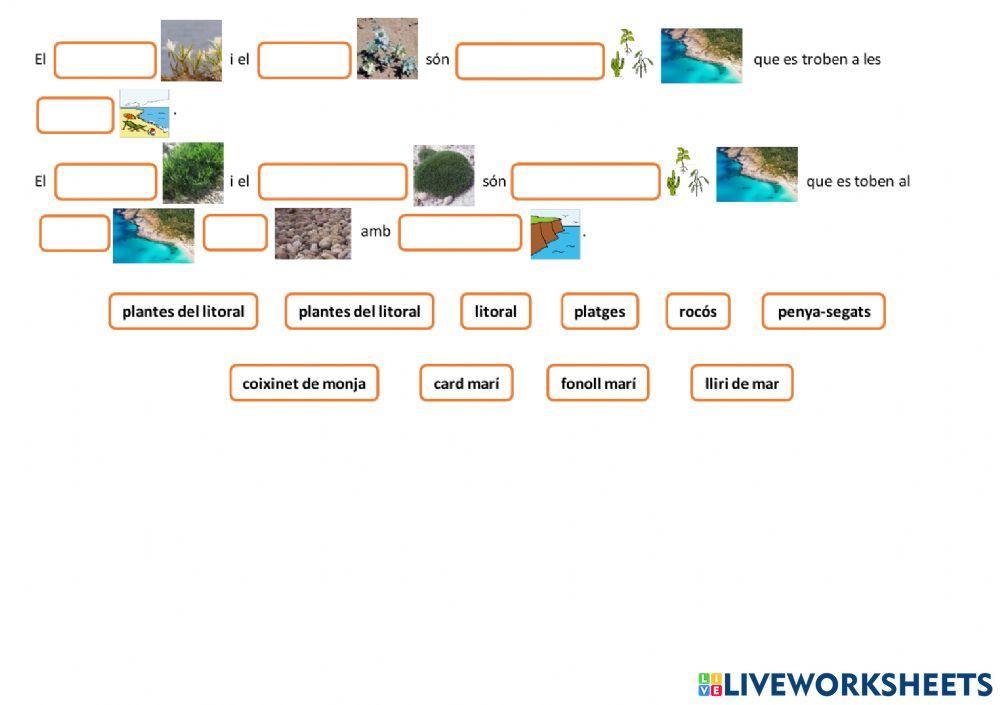LES PLANTES DE LES ILLES BALEARS. Els hàbitats de les Illes Balears