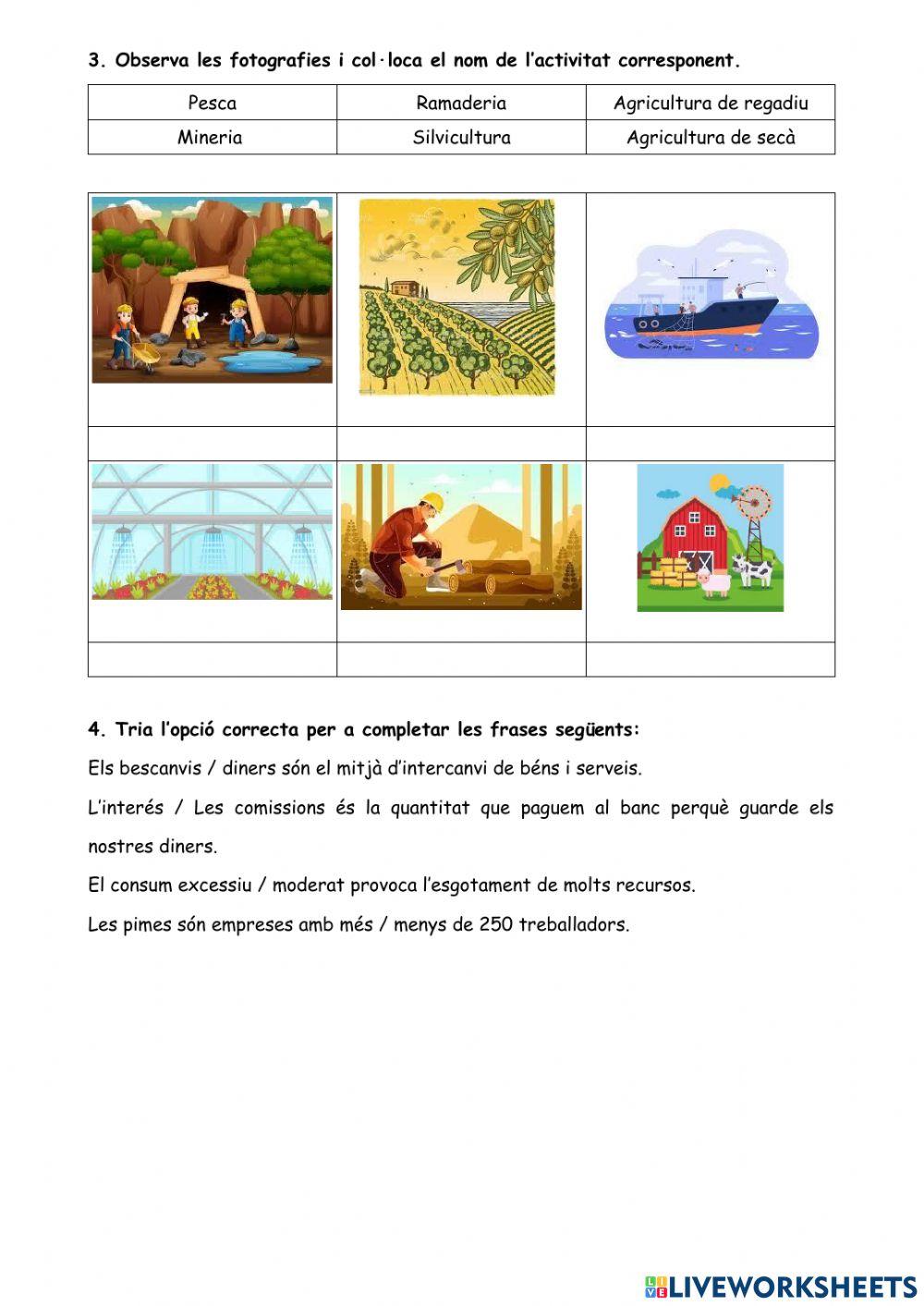 Els sectors econòmics.