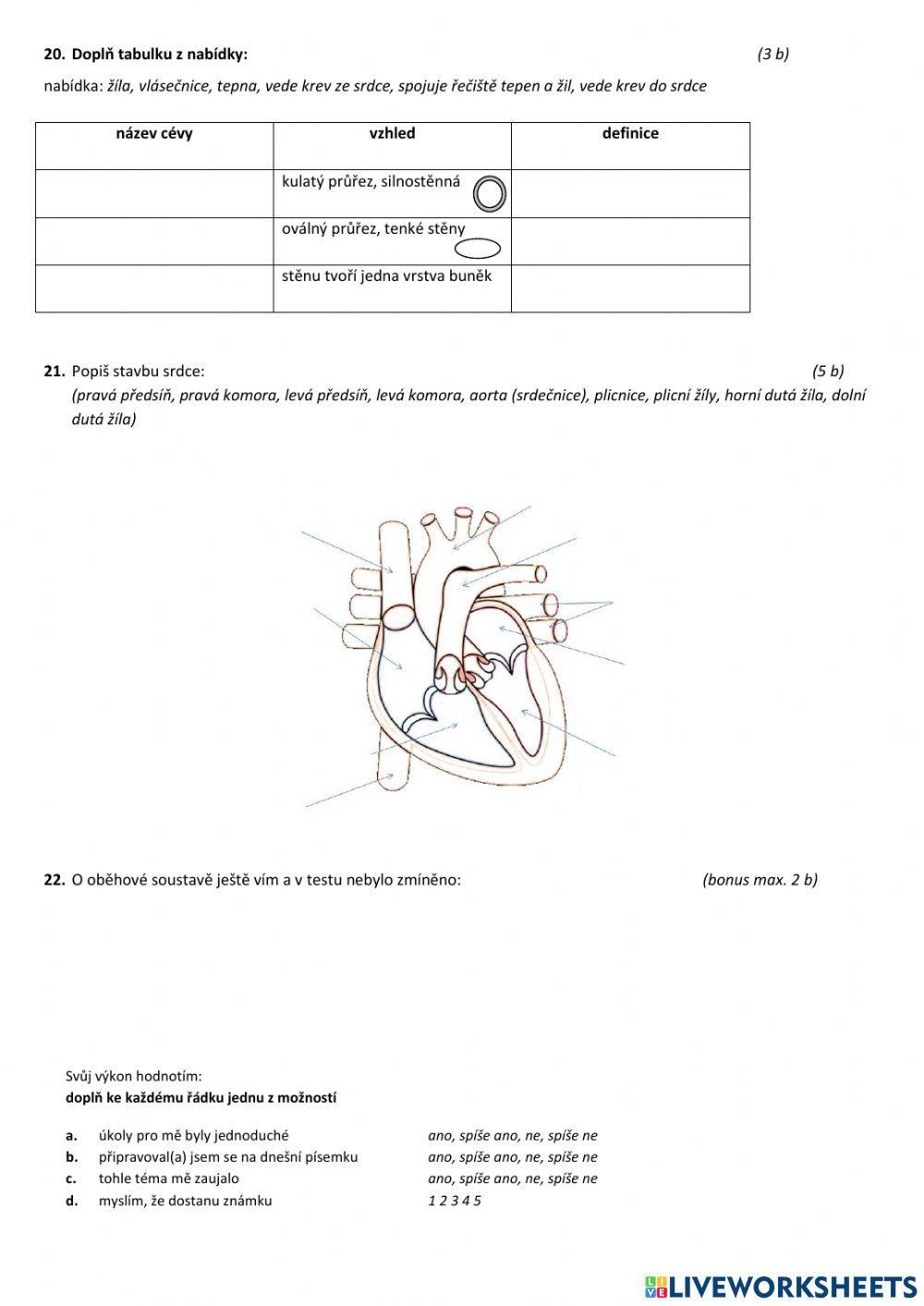 Oběhová soustava test