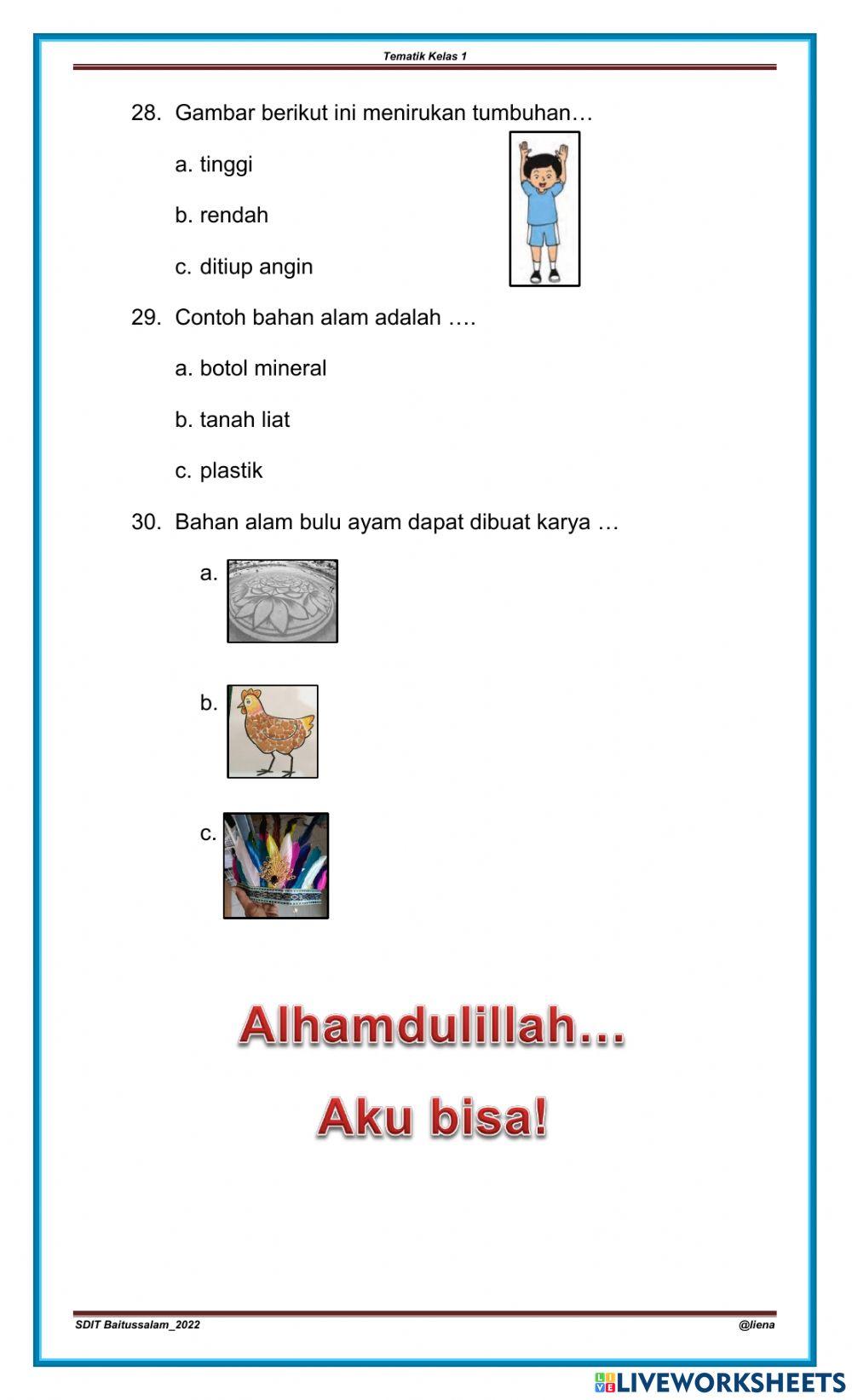 Ulangan Tematik kelas 1