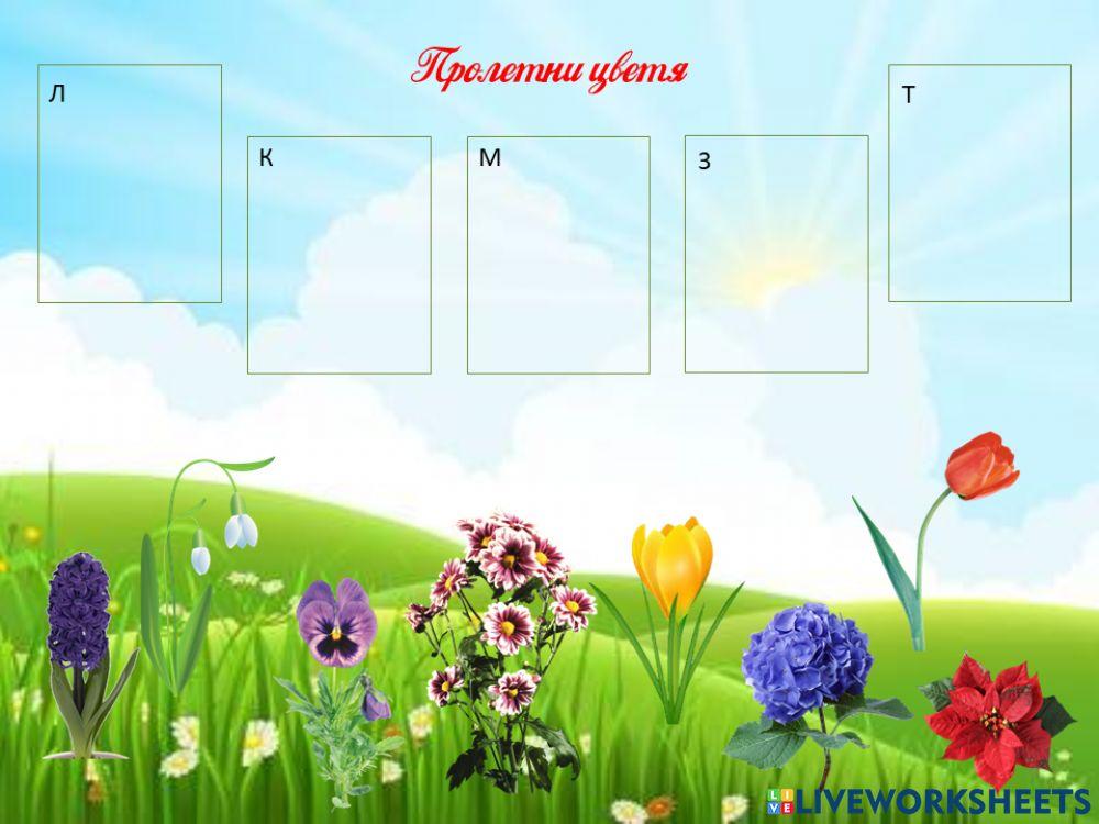 Пролетни цветя