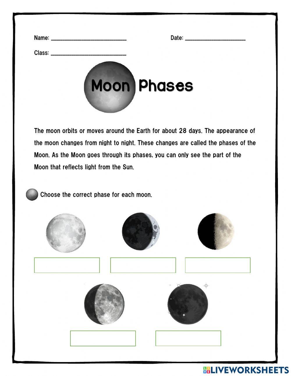 The Moon Phases