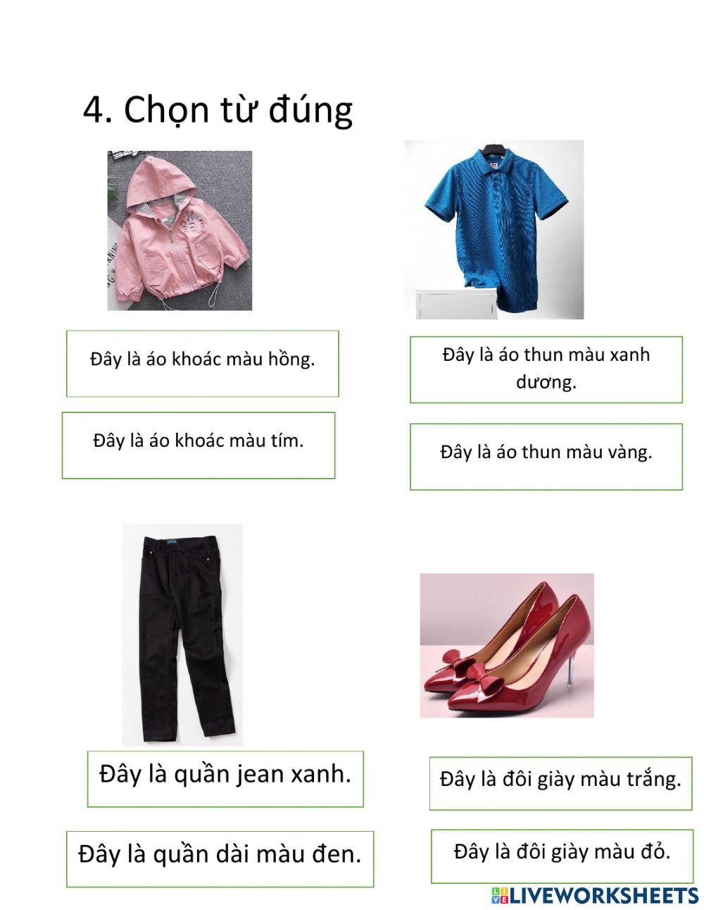Bài ôn tập chủ đề Trang phục