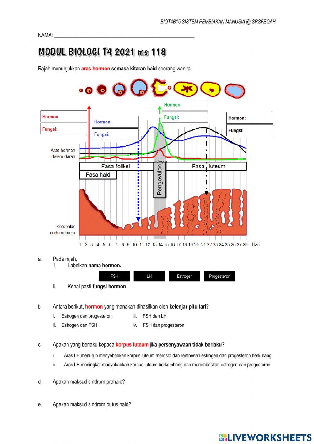 15.3 Kitar Haid Hormon