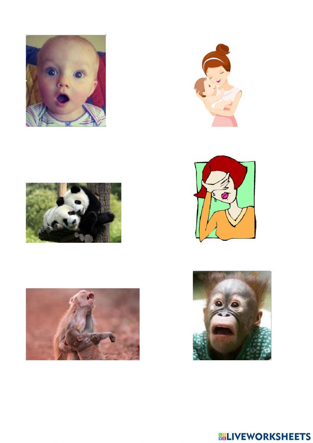 Συναισθήματα ζώων-συναισθήματα ανθρώπων