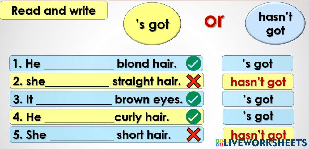Grade 2 Unit 6 l2 act  3