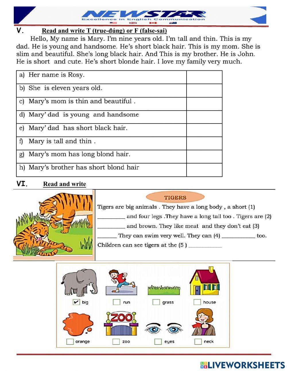 4a1-l8-skills time-dolphin