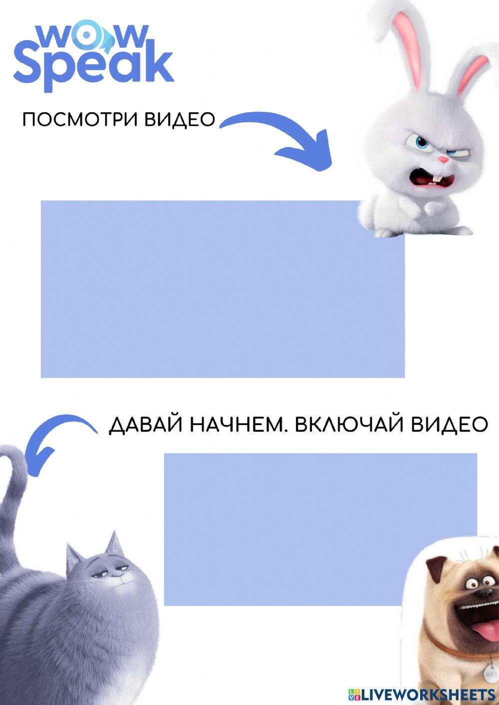 English secret life 5