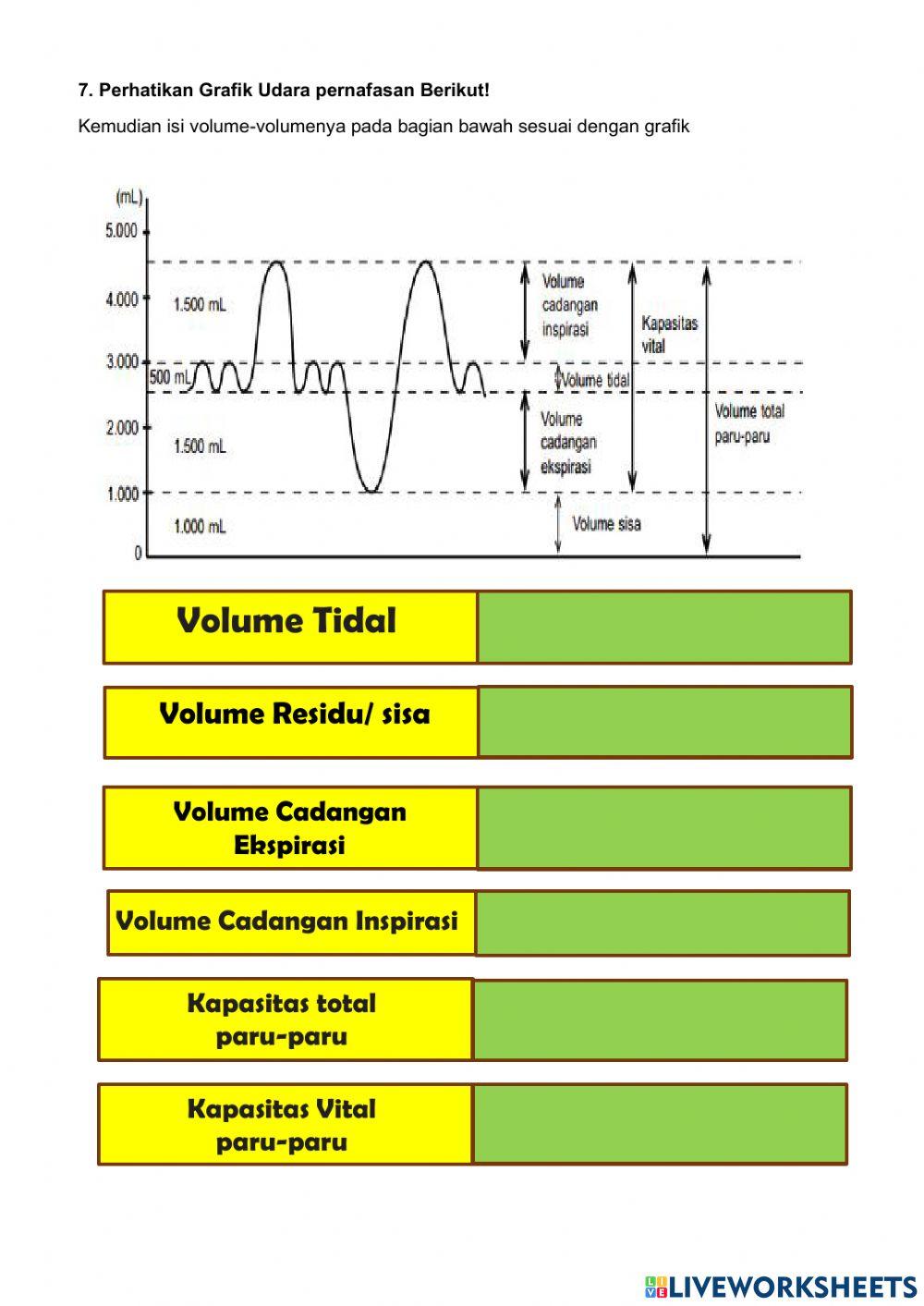 UH Sistem Pernafasan