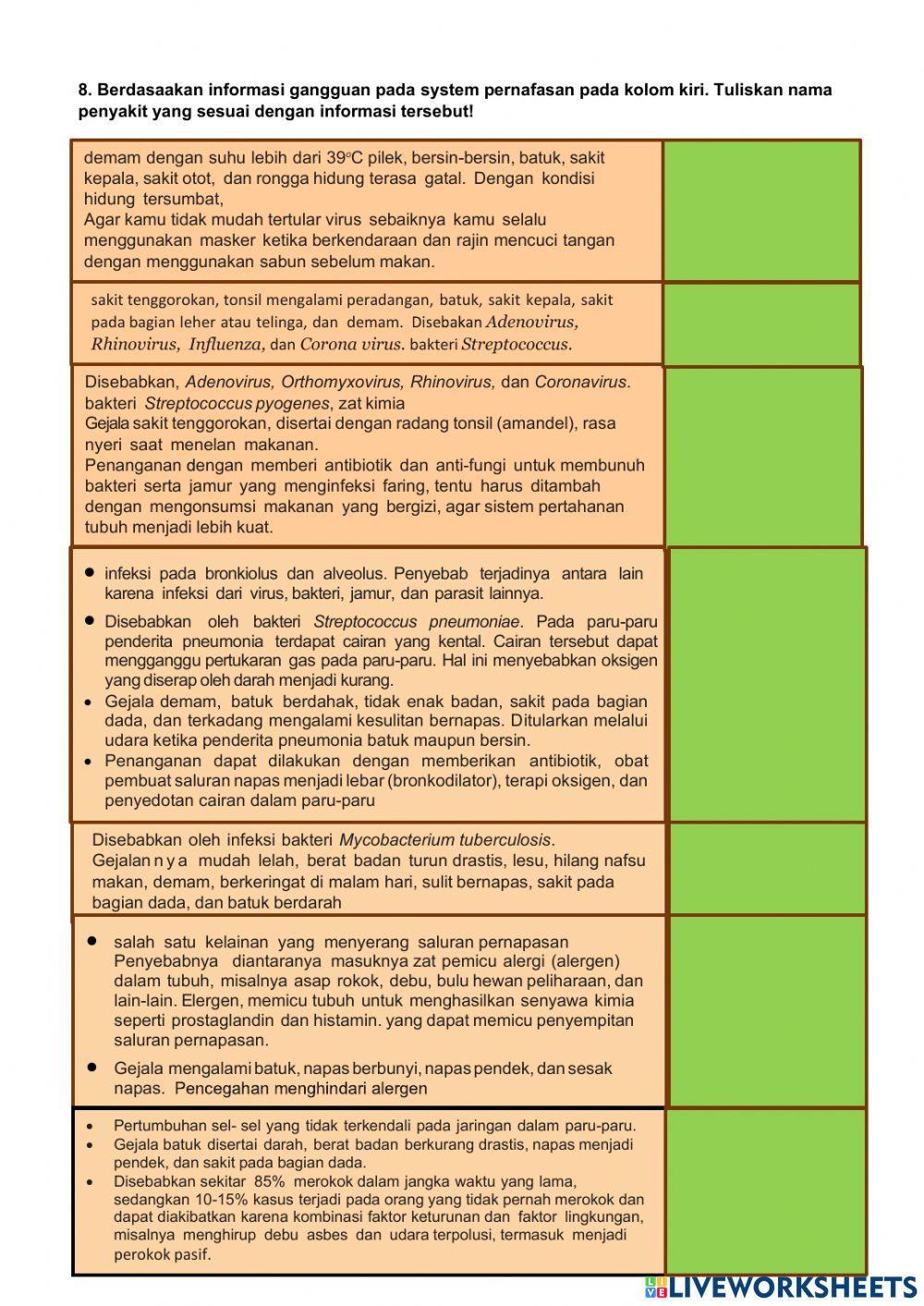 UH Sistem Pernafasan