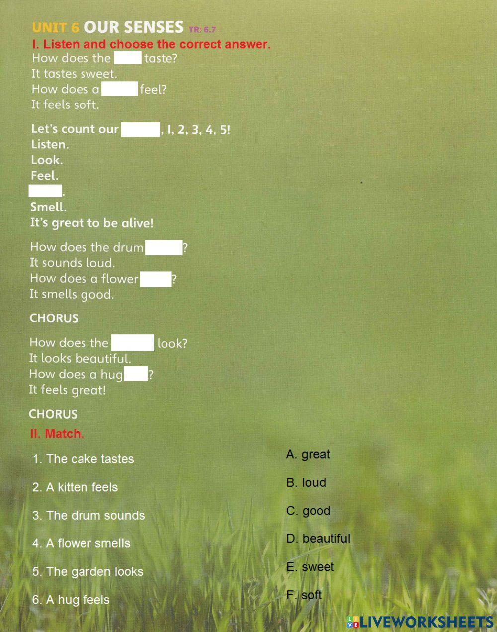 EOW3 - Unit 6 - Song