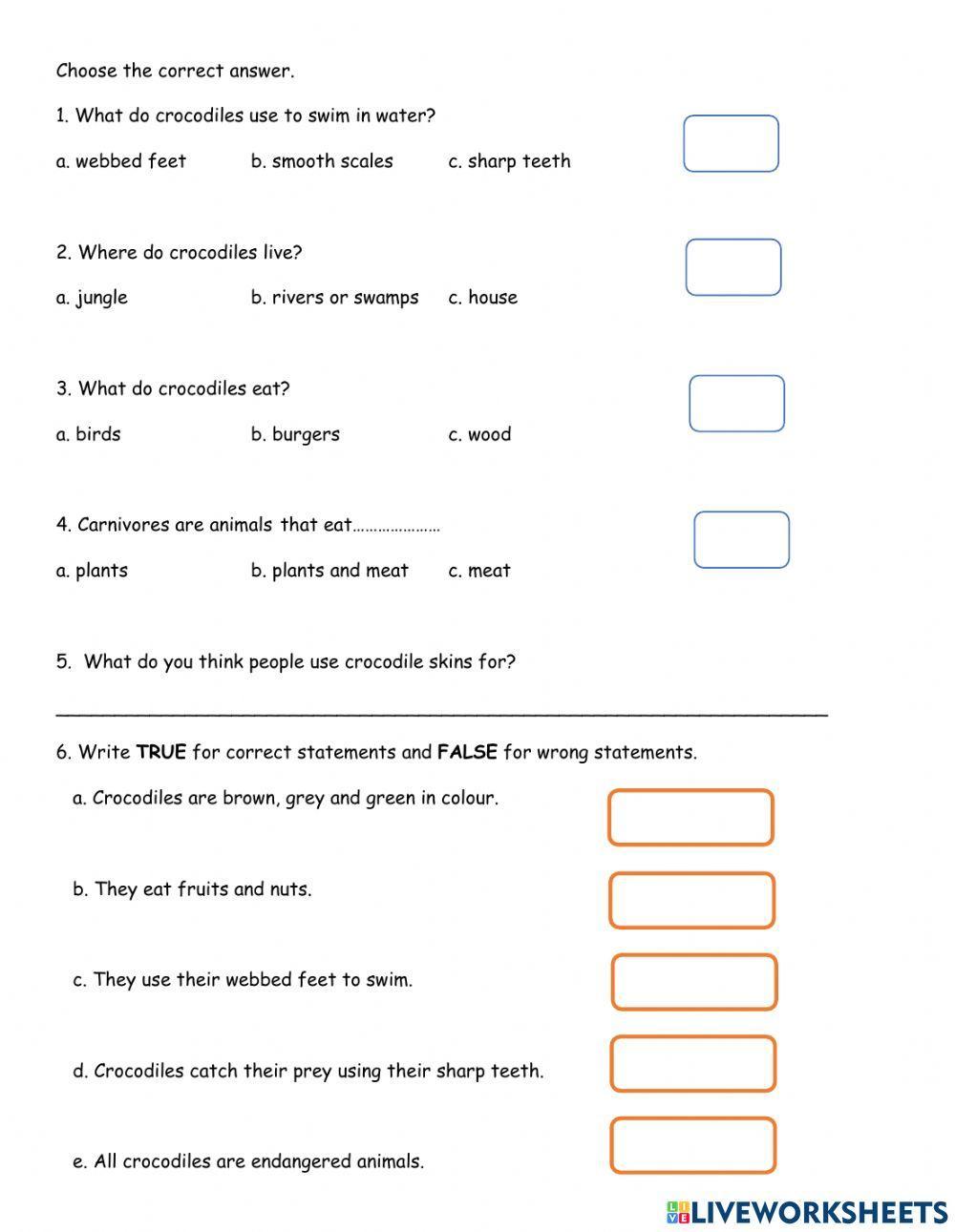 TIER 1  English Year 4 Reptiles