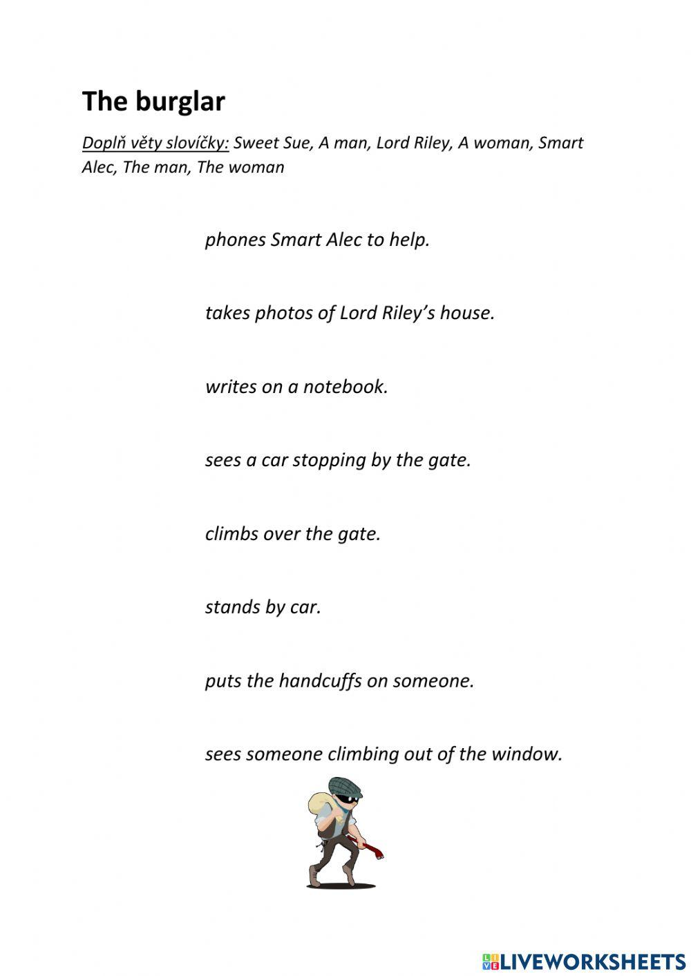 The Burglar Project 4