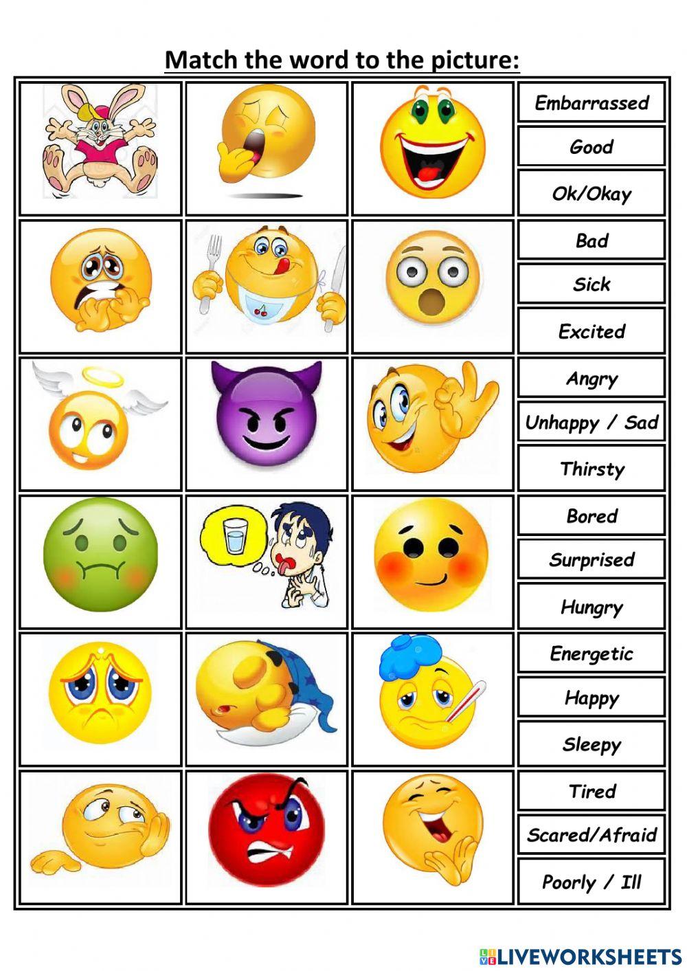 Feelings and Emotions