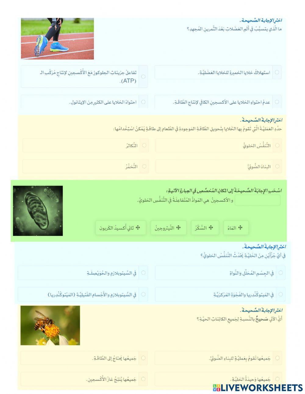 التنفس الخلوي للصف السادس