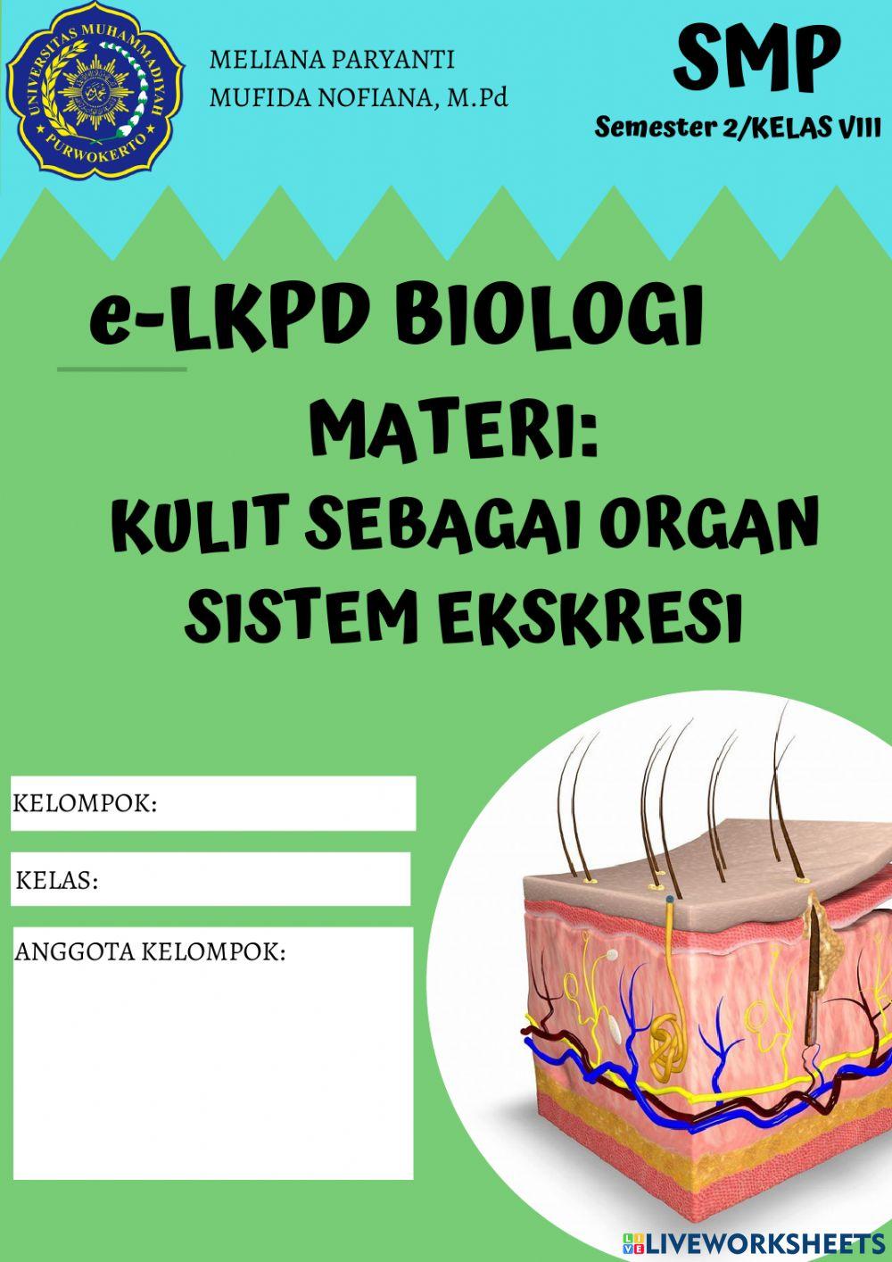 E-LKPD Kulit Sebagai Organ Sistem Ekskresi