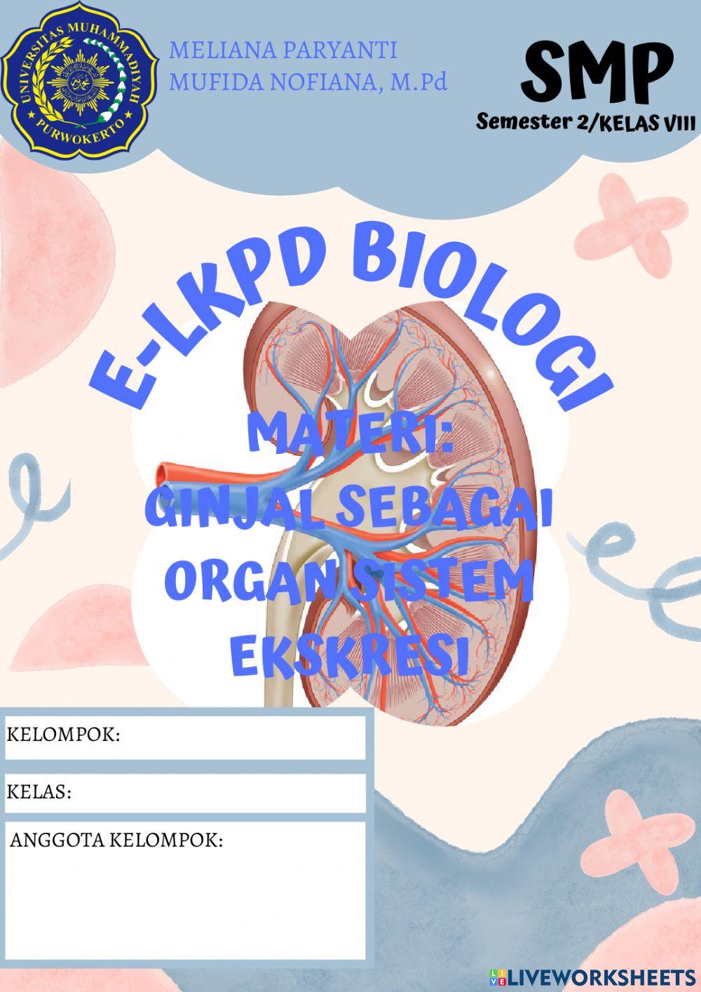 E-LKPD Ginjal Sebagai Organ Sistem Ekskresi