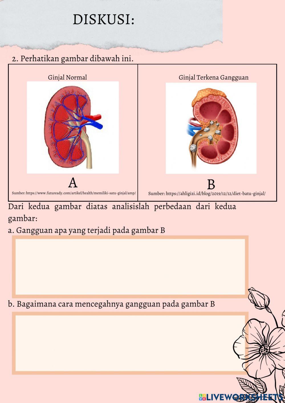 E-LKPD Ginjal Sebagai Organ Sistem Ekskresi