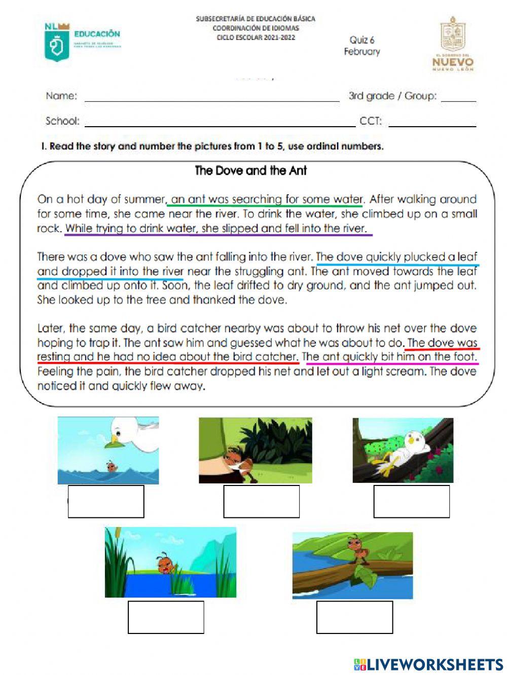 Grade 3 quiz 6 february