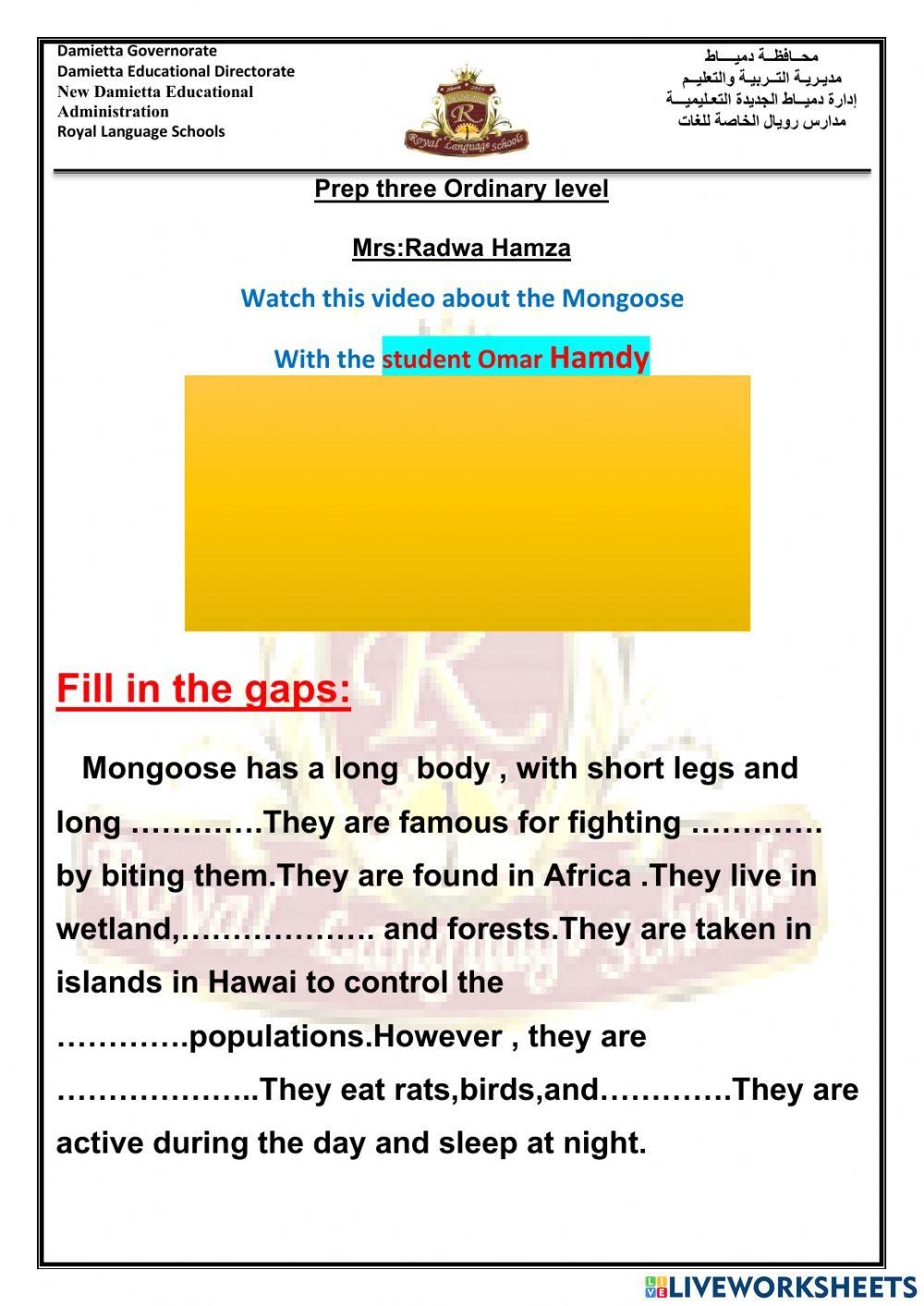 Mongoose interactive worksheet | Live Worksheets