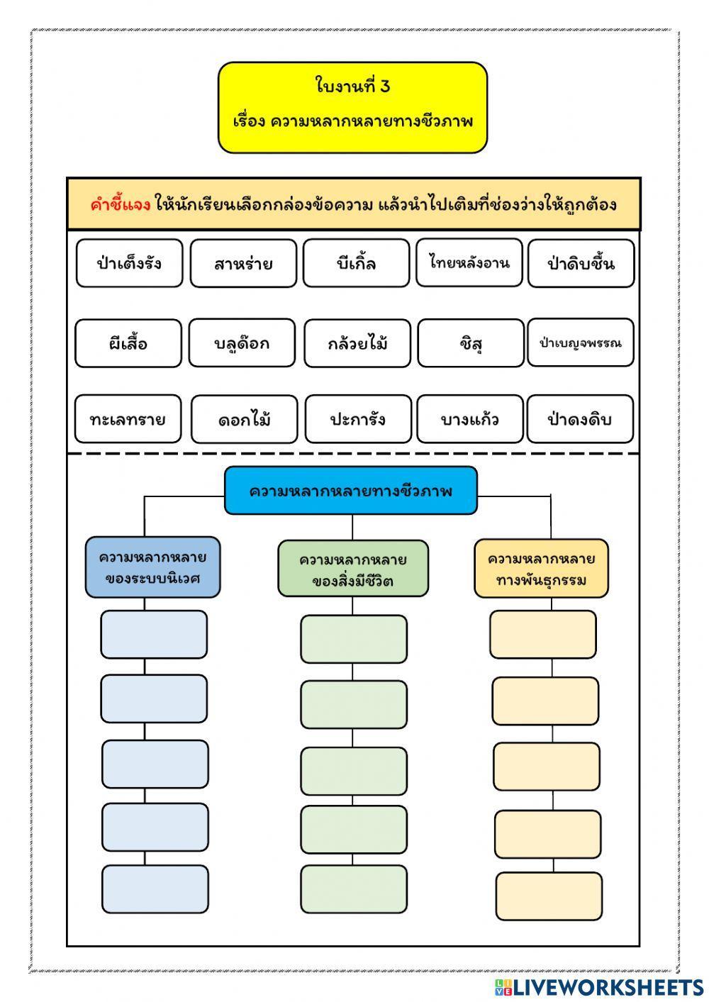 ใบงานที่ 3 ความหลากหลายทางชีวภาพ