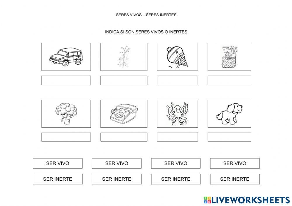 Seres vivos - seres inertes