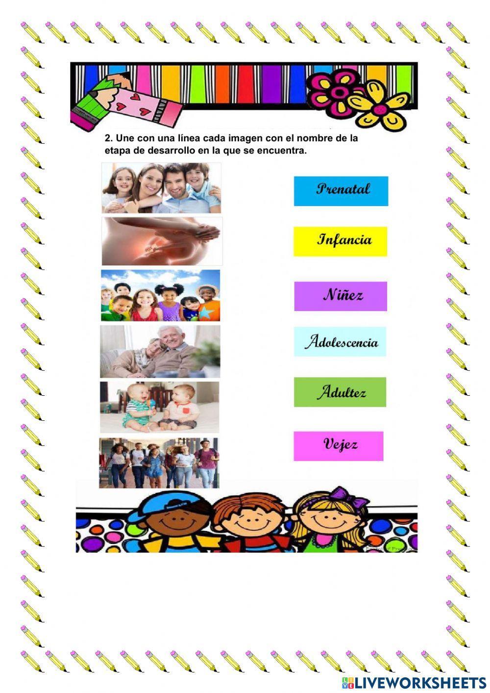 Etapas del desarrollo humano